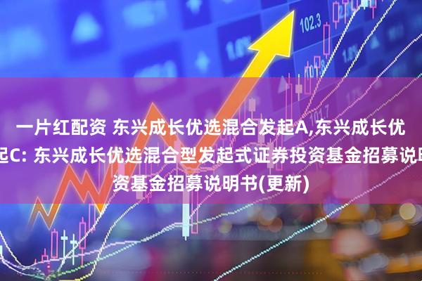 一片红配资 东兴成长优选混合发起A,东兴成长优选混合发起C: 东兴成长优选混合型发起式证券投资基金招募说明书(更新)
